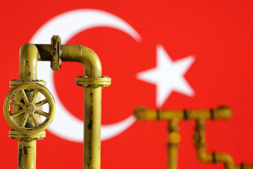 Turkey to resume gas drilling near Cyprus: senior official