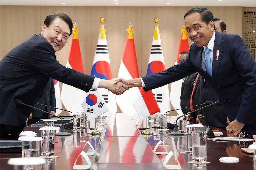 S. Korea, Indonesia pledge to deepen economic, security cooperation ...