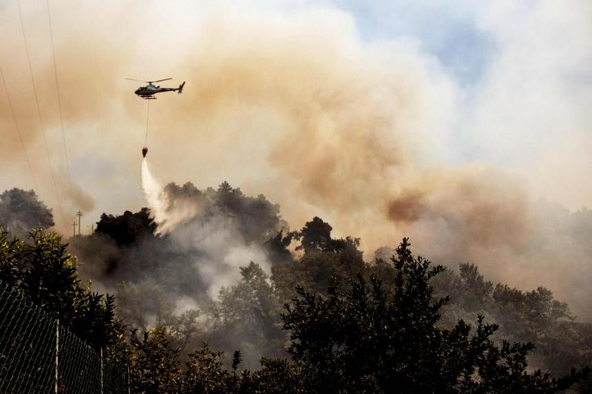 Wildfires in Europe burn secondbiggest area on record The Straits Times