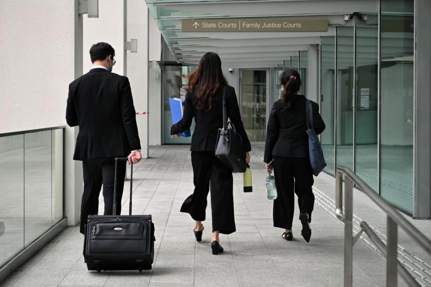 Free legal centres to be set up in heartland for families