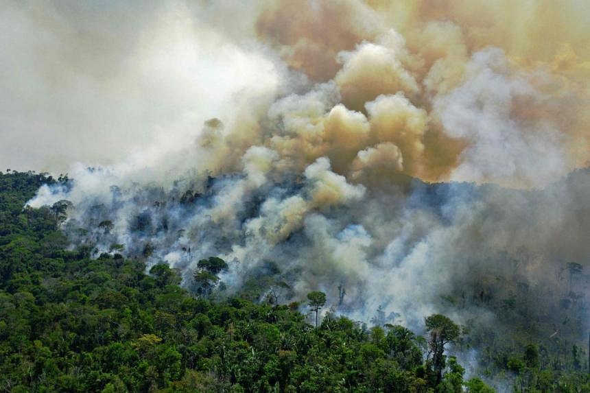 Brazil's Amazon Sees Worst August Fires In Over A Decade | The Straits ...