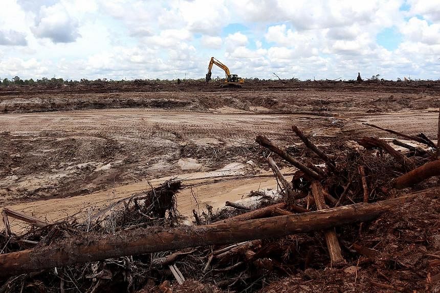 Indonesia og Norge gjenopptar kampen mot avskoging med ny klimaavtale