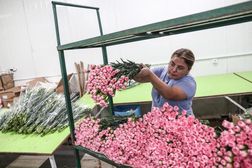Turkish florists race to meet soaring British demand after Queen