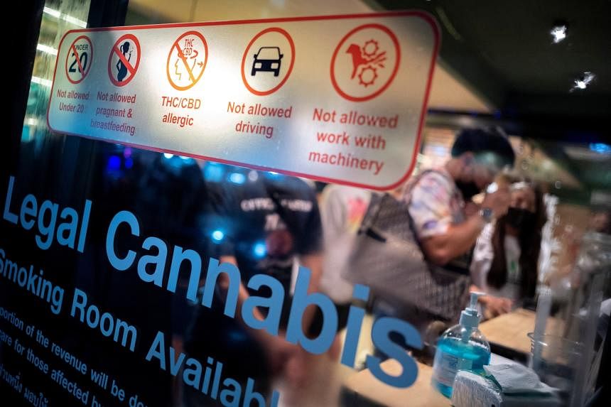 53% want S’pore to explore legalising cannabis for medical use