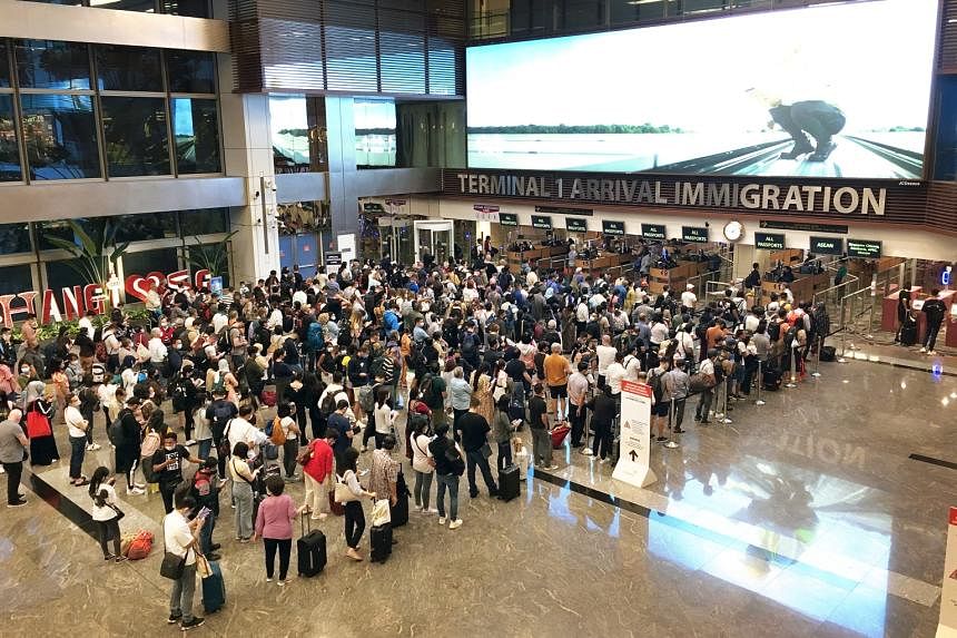 Singapore's Changi Airport flights to exceed 80% 2019 levels by year-end, News