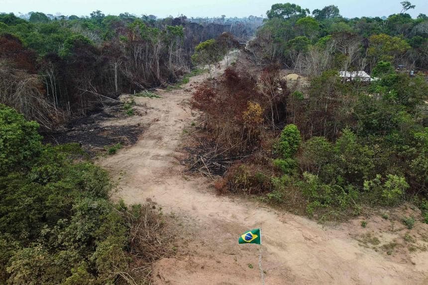 Deforestation In Brazils Amazon Hits September Record As Fires Spike The Straits Times 1482