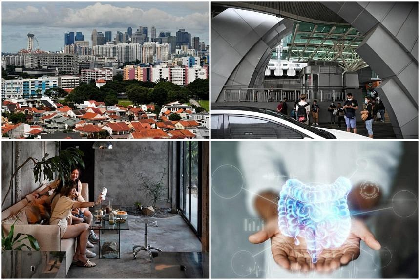 This week’s top reads from The Straits Times, Oct 8