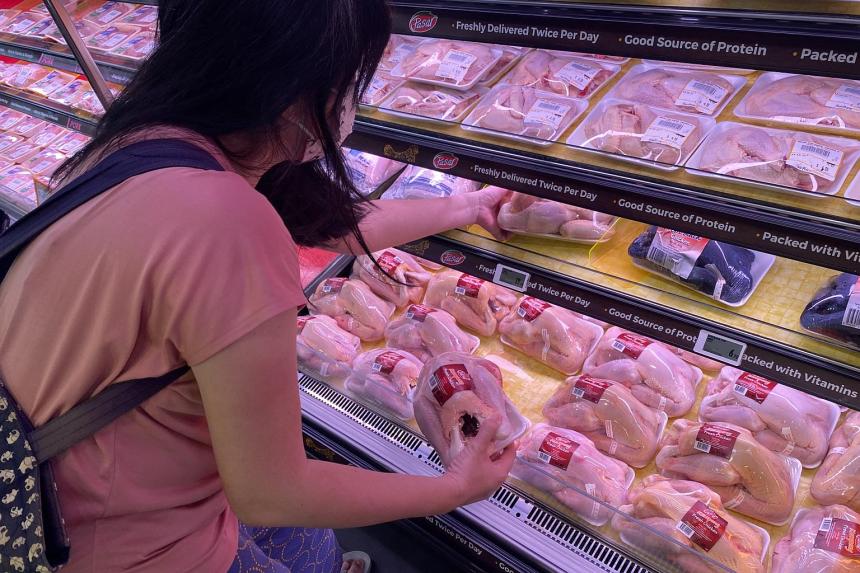 Fresh Malaysian chickens back on sale in Singapore after more than four