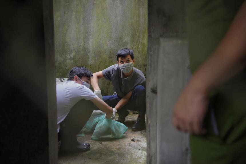 Salvar a los animales salvajes: la educación es la clave para repensar