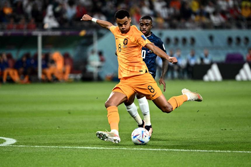 FBL-WC-2022-MATCH19-NED-ECU-164613_2.jpg