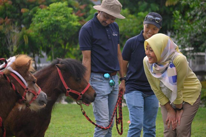 New playground in Jurong East for families and pets The Straits Times