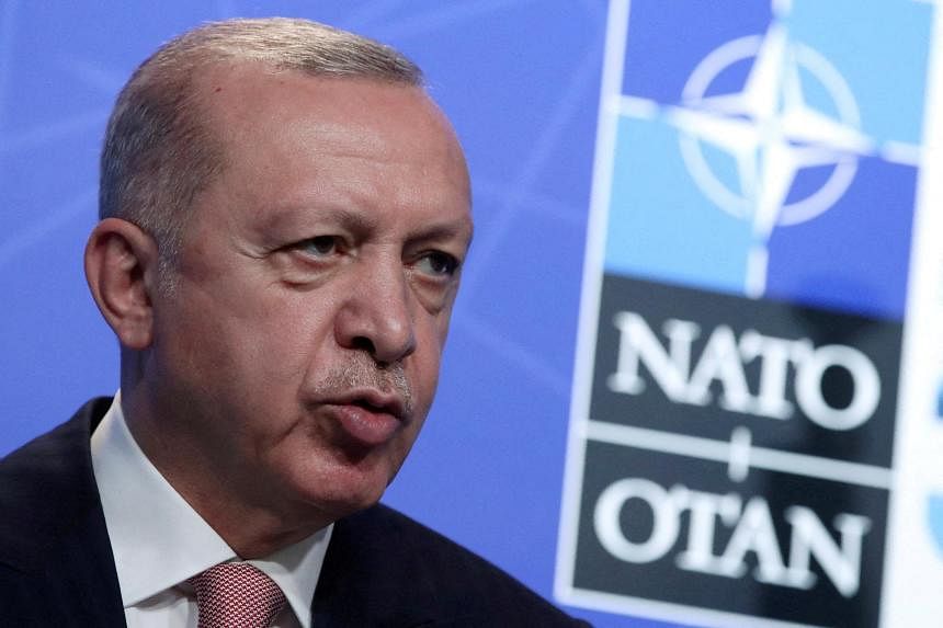 Turkey jails outlawed PKK member extradited from Nato hopeful Sweden