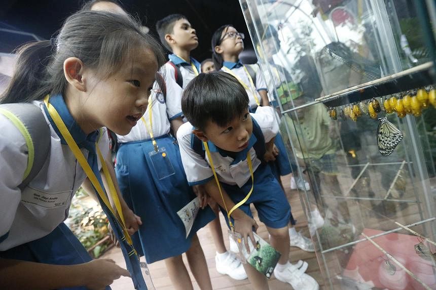 Explore world of science with your child