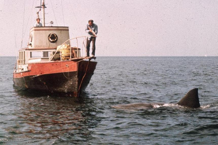 Steven Spielberg regrets Jaws’ impact on shark population | The Straits