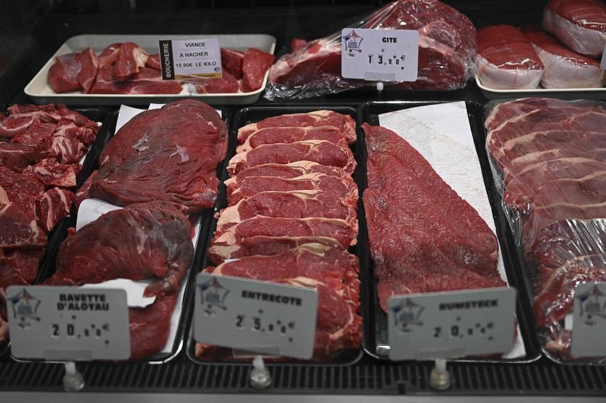 Butchers on trial in France over alleged horsemeat fraud