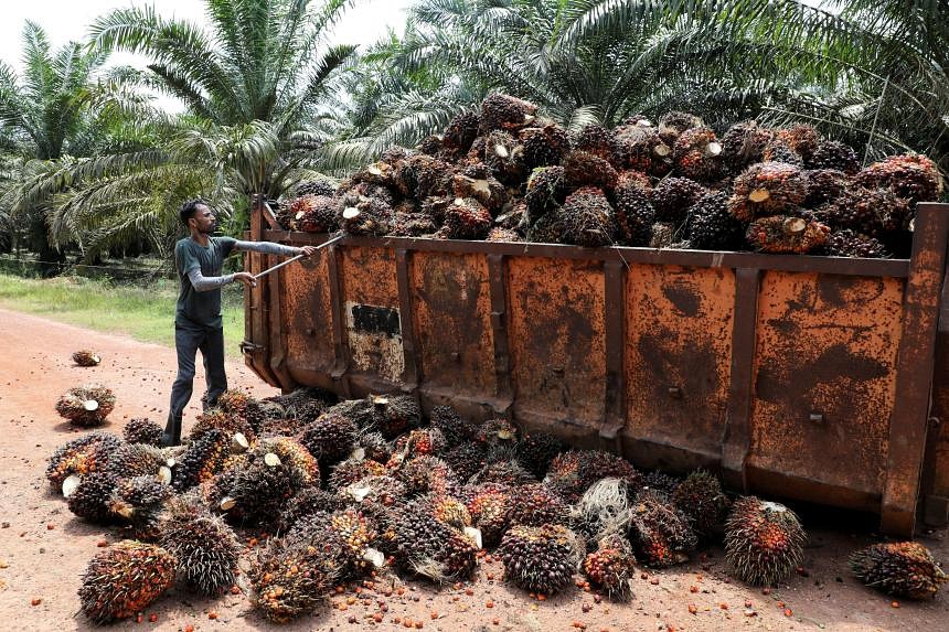 indonesia-to-suspend-some-palm-oil-export-permits-officials-flipboard