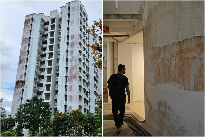 HDB to commission study to look into mould issues of Sengkang, Punggol flats