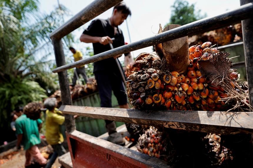 Indonesia memperingatkan petani dan perusahaan pertanian untuk bersiap menghadapi cuaca kering dan kebakaran