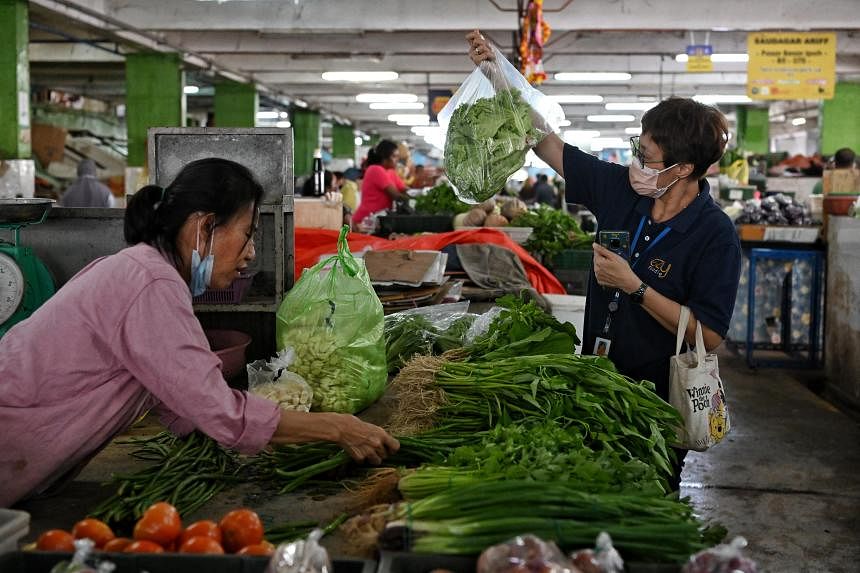 由于天气潮湿，马来西亚的蔬菜价格将再次飙升