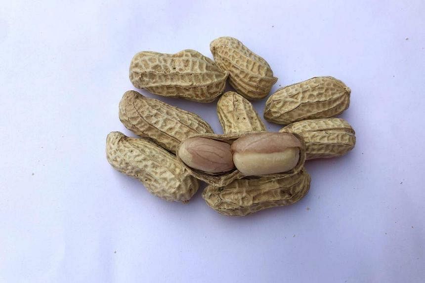 football background with peanuts