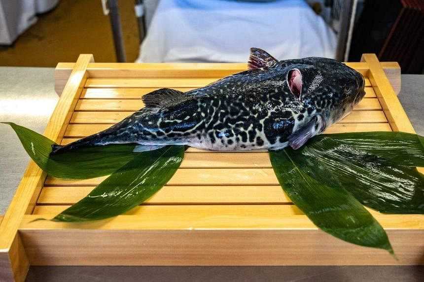 For some Malaysians, the forbidden fugu is a delicacy while some