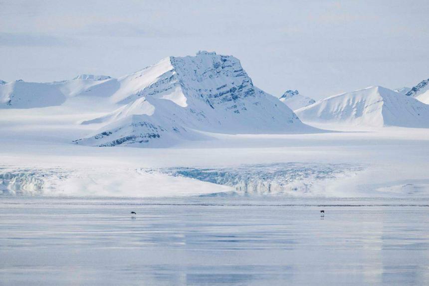 Arctic scientists race to preserve 'ice memory' | The Straits Times