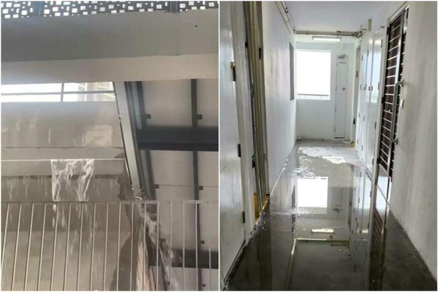 Residents complain of defects in new Fernvale Dew estate; HDB says most