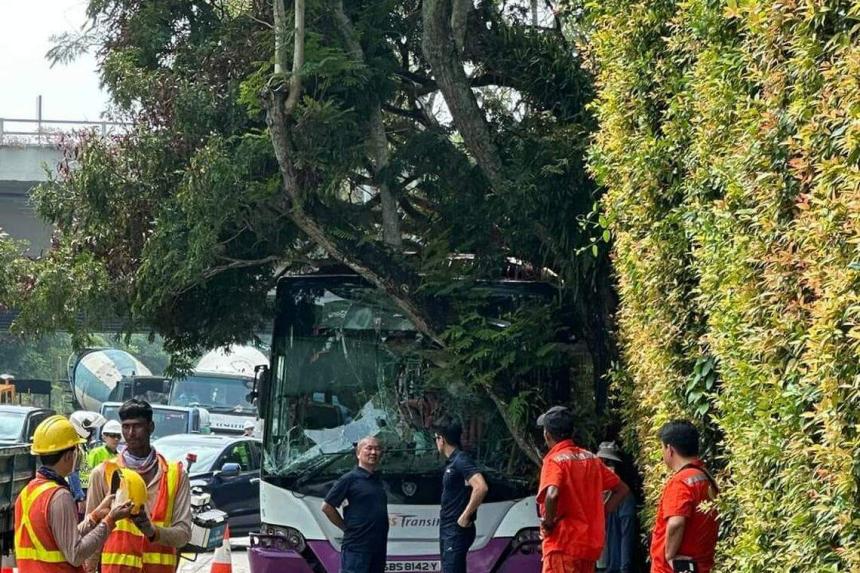 Two taken to hospital after accident involving bus, lorry and car in ...