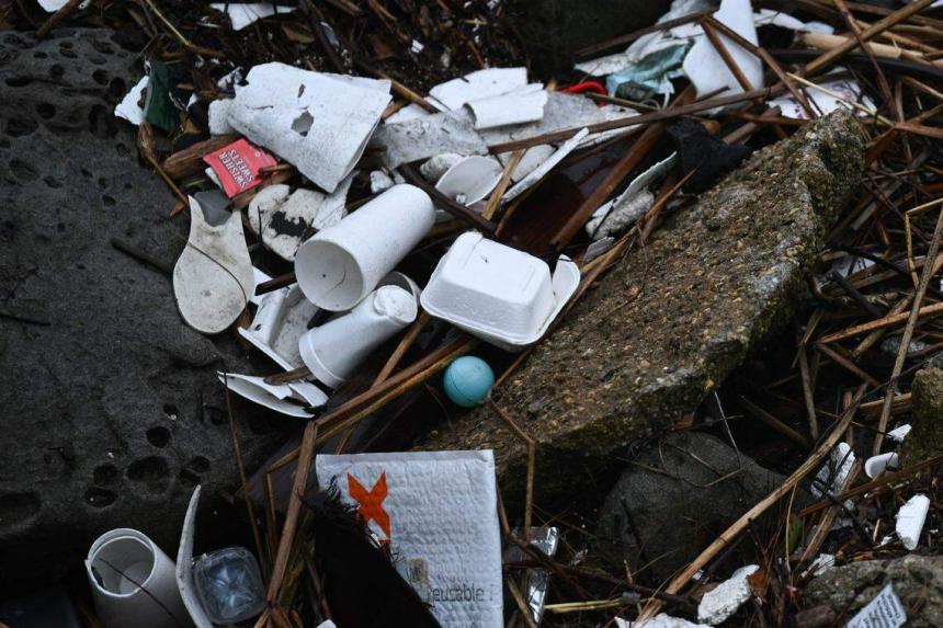 Shell Fish Waste Coastal shellfish 'colonise' giant Pacific Ocean garbage patch: Study ...