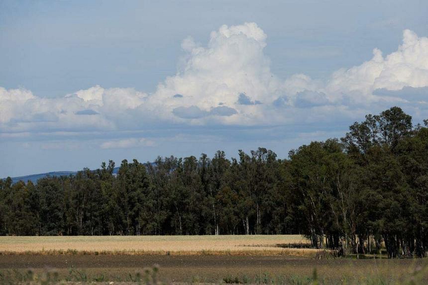 Historic drought sees Spaniards pray for rain