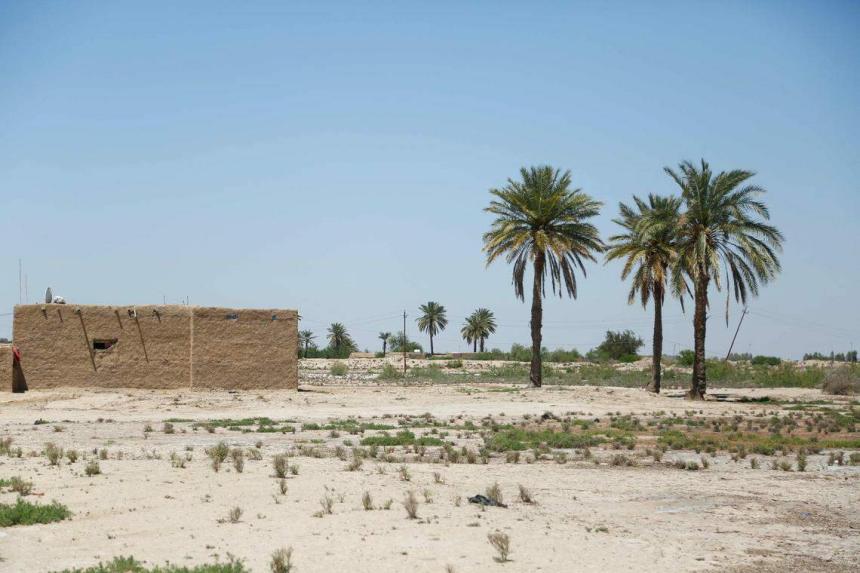 Iraq’s climate migrants flee parched land for crowded cities The
