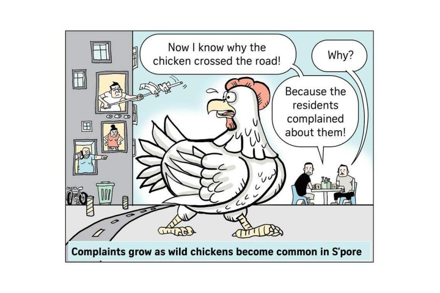 A Cartoonist’s View: Cel Gulapa, June 6, 2023 | The Straits Times