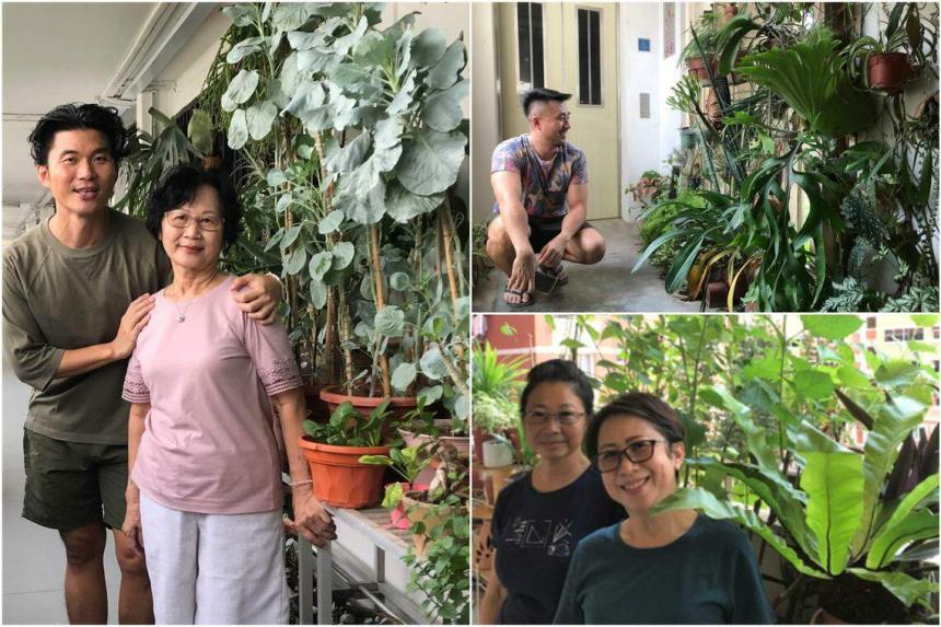 Inspiring HDB corridor gardens Families, neighbours bond while growing