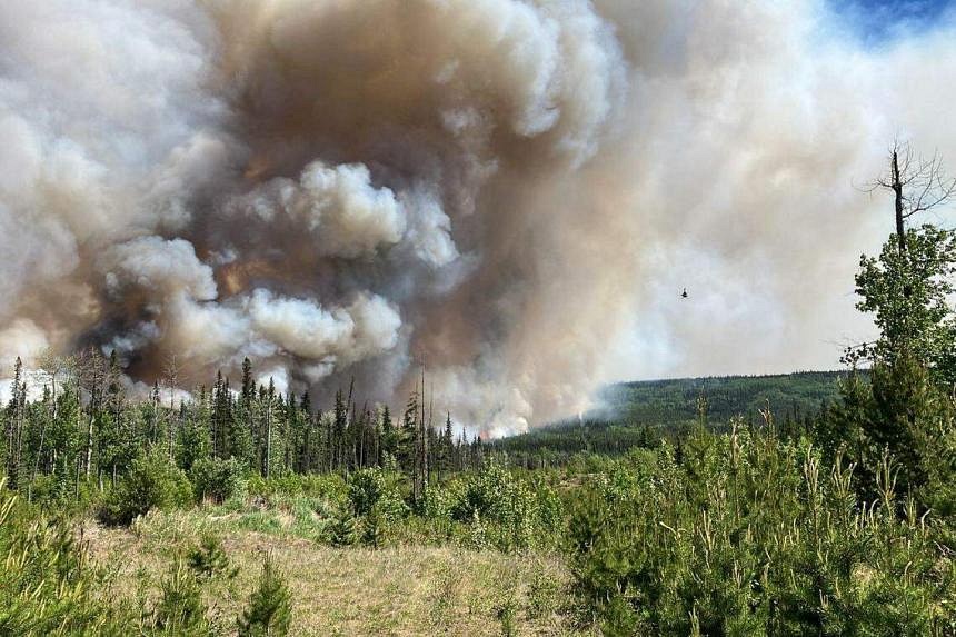 How Heat And Dryness From Climate Change Are Making Wildfires Much ...