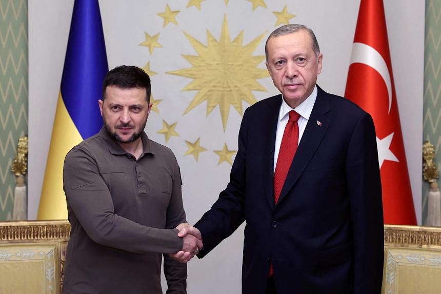 Zelensky Meets Turkey's Erdogan To Push Ukraine Nato Bid | The Straits ...