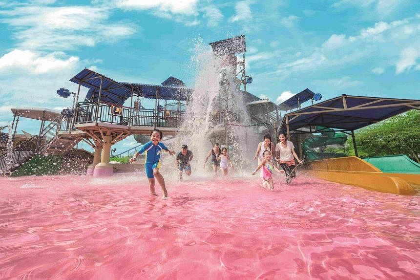 Water Park Promotions: Pasir Ris to Desaru - Family Fun Guaranteed!