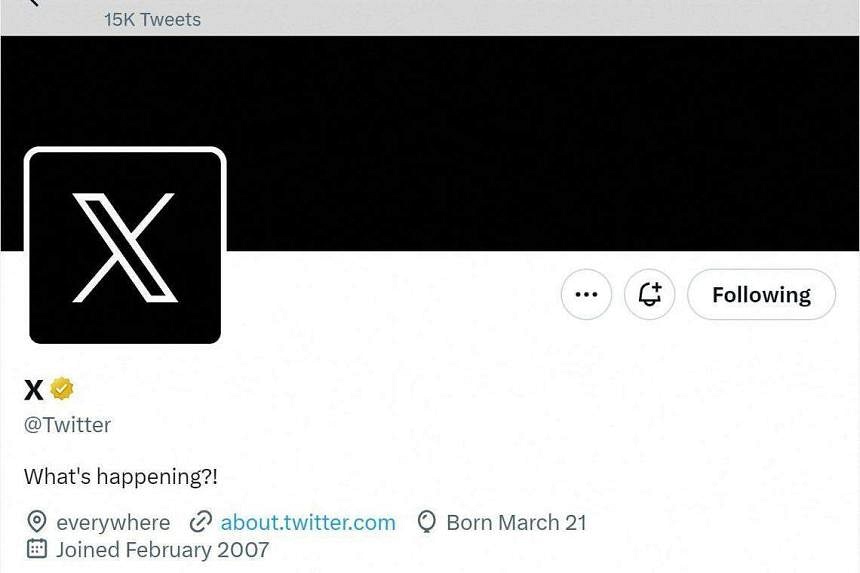 Bird Has Flown As Elon Musk Says ‘X’ Logo Is Here | The Straits Times