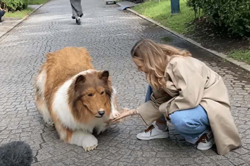 Japanese Dog Costume
 Japanese man who spent nearly $20 000 on dog costume shares video of