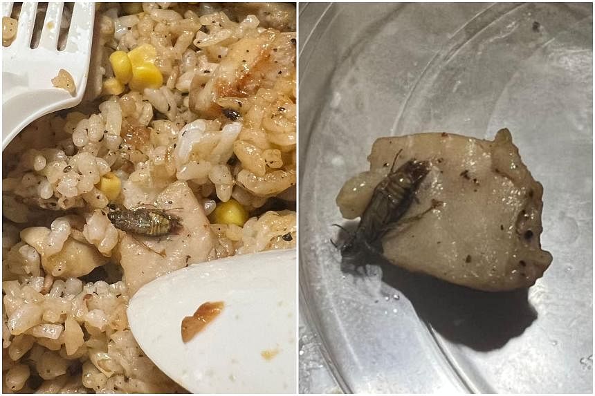 Japan's Warabeya shares drop after cockroach found in 7-Eleven rice balls