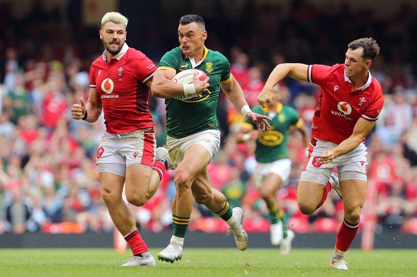 Superb South Africa put Wales to the sword with 52-16 win in Rugby ...