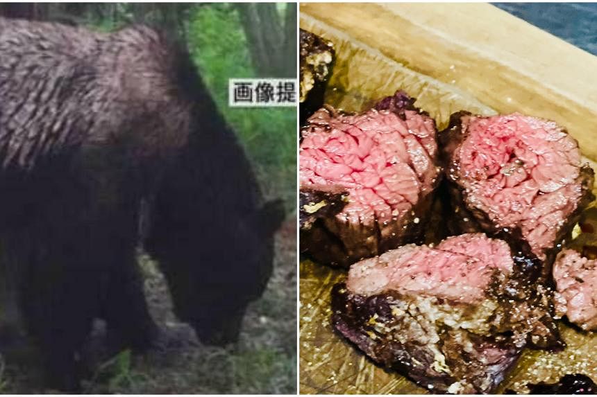 How To BEAR Eating Bear Meat