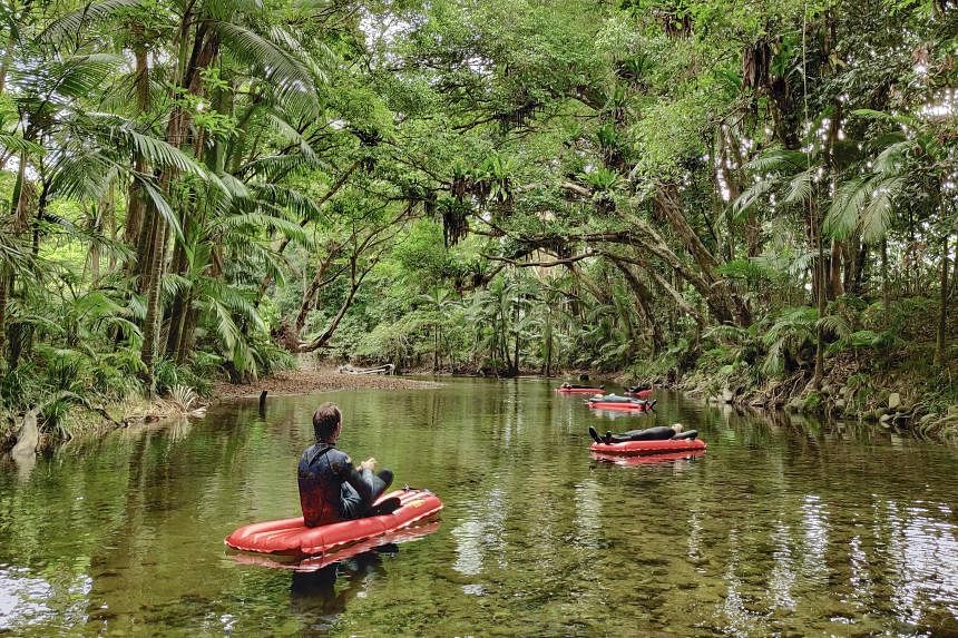 Where rainforest meets reef: Tropical North Queensland offers local delicacies and eco-experiences