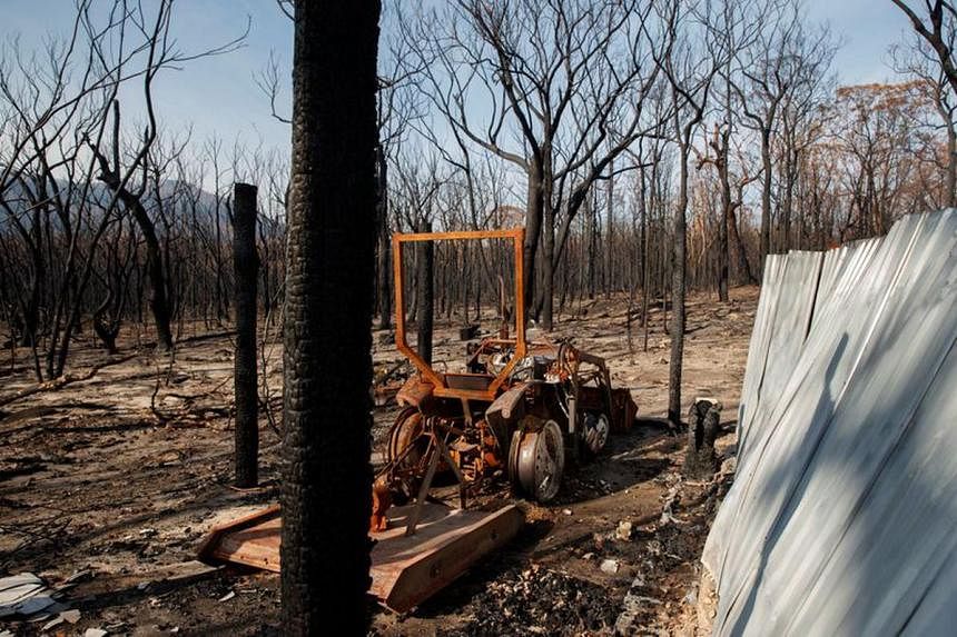 Australia declares El Niño as spring heatwave raises concerns over wildfires