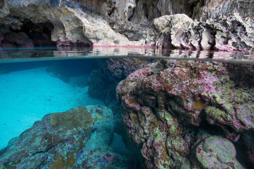 Crowdfunding conservation: Pacific island Niue's plan to protect its waters