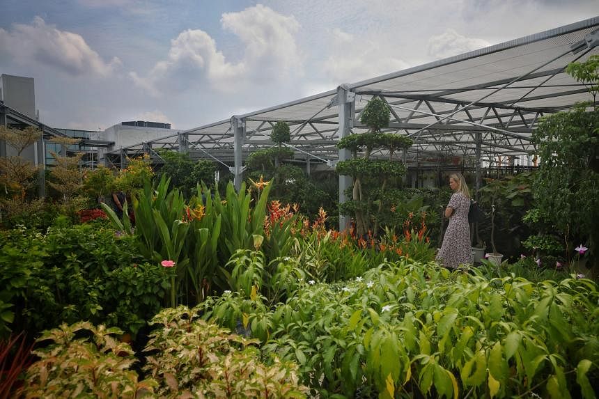 11-storey flower and gardening haven by Far East Flora opens in Clementi |  The Straits Times