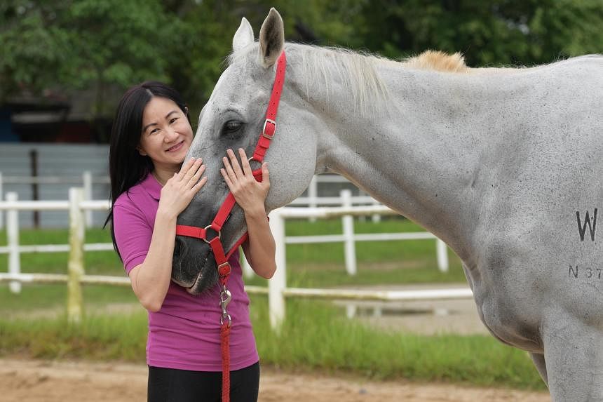 ST Picks: How a horse saved her from depression after breast cancer