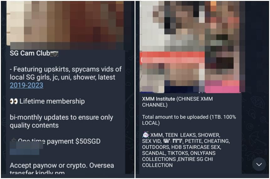 2019 Local Xxxx Videos - Telegram channels offer explicit sex videos, photos for a fee in similar  vein to SG Nasi Lemak | The Straits Times