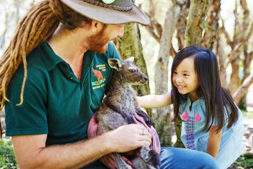 Fun With Kids Win tickets to Perth, Tom And Jerry kiteflying fiesta