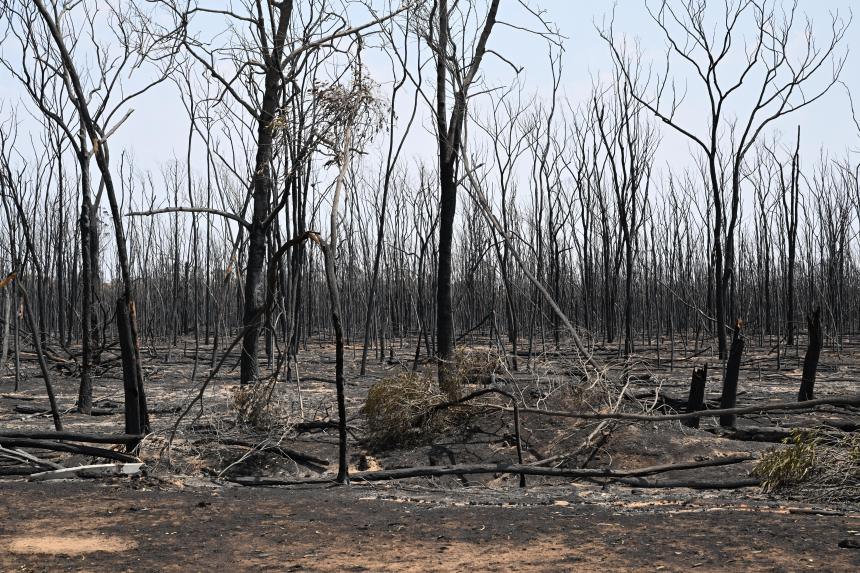 ‘Heartbreaking scenes’: 2 dead, dozens of homes destroyed as bushfires ...
