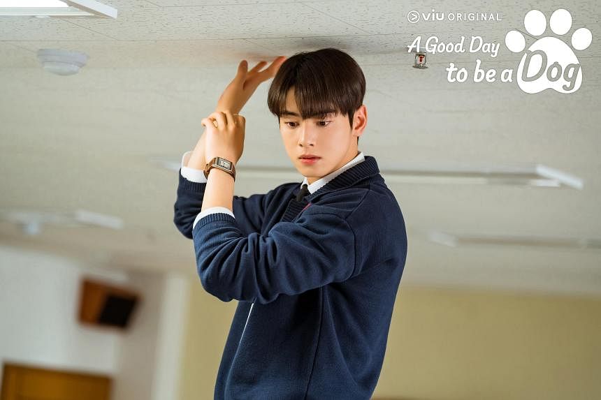 Cha Eun Woo: The most memorable episode of 'A Good Day To Be A Dog' was the  scene where I had to get a kiss from a dog - Times of India